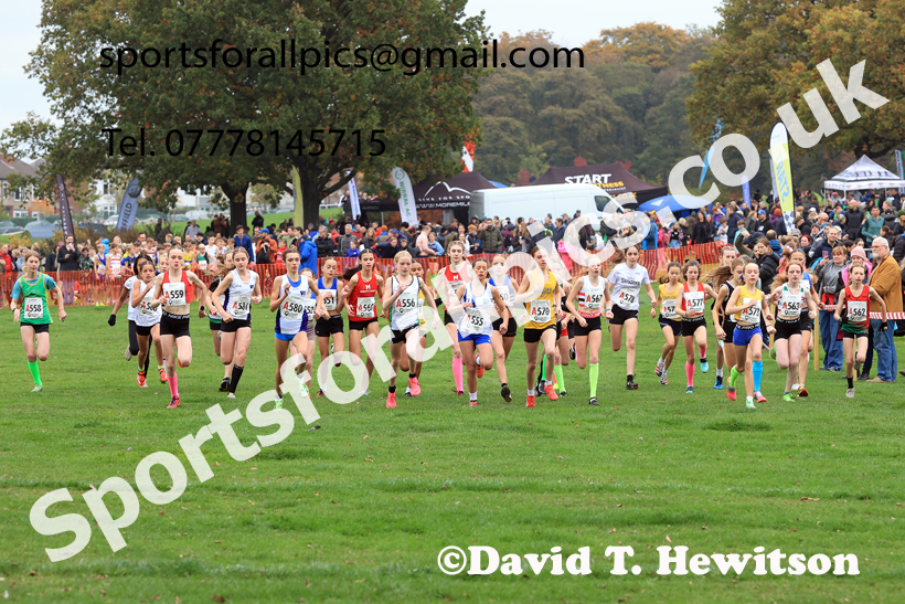 Girls Under-13s relay, 2025 Northern Cross Country Relays, Graves Park, Sheffield. Photo: David T. Hewitson/Sports for All Pics